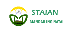 STAIN MADINA